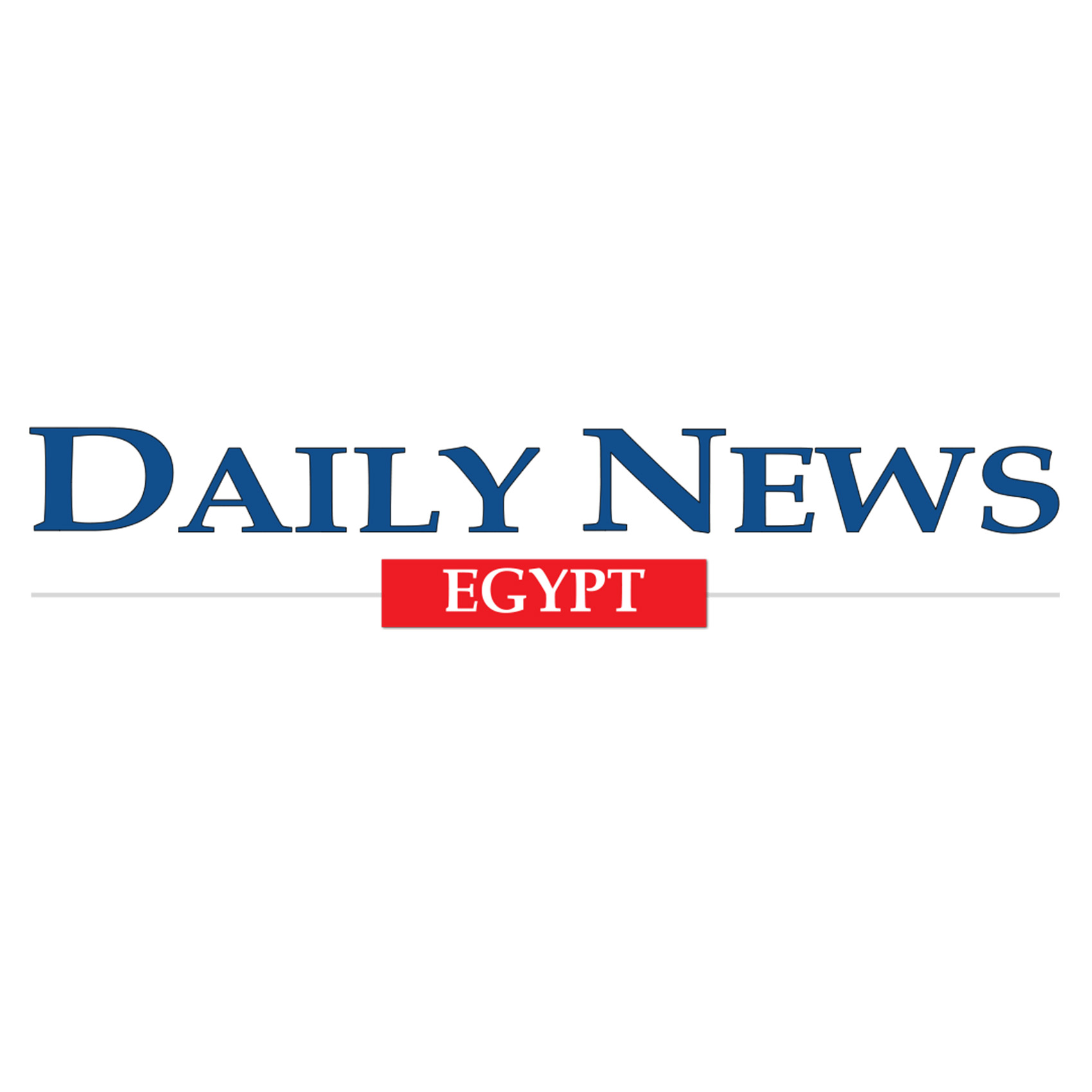Daily News logo